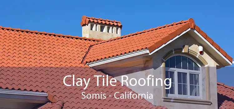 Clay Tile Roofing Somis - California