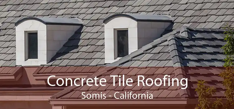 Concrete Tile Roofing Somis - California