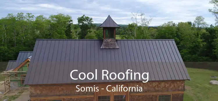 Cool Roofing Somis - California