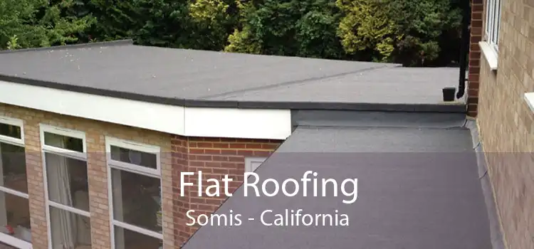 Flat Roofing Somis - California