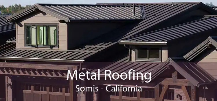 Metal Roofing Somis - California