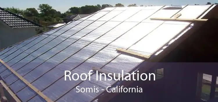 Roof Insulation Somis - California