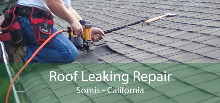 Roof Leaking Repair Somis - California