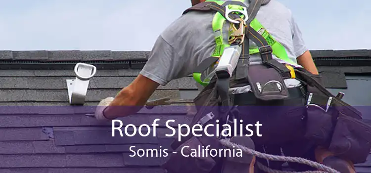 Roof Specialist Somis - California