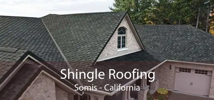 Shingle Roofing Somis - California