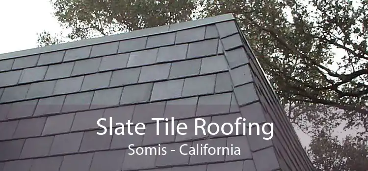 Slate Tile Roofing Somis - California