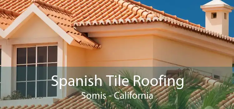 Spanish Tile Roofing Somis - California