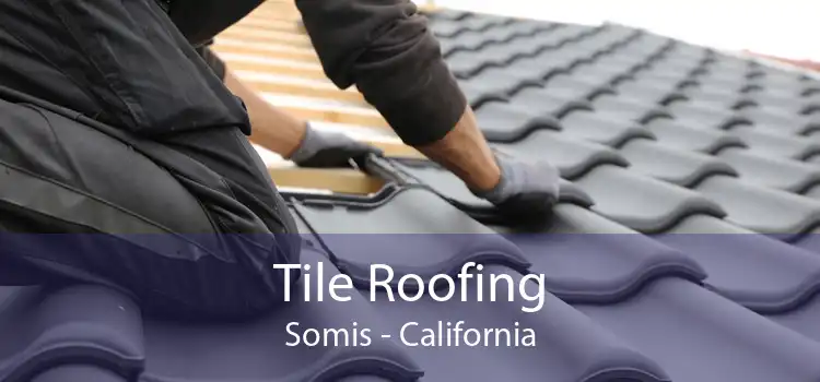 Tile Roofing Somis - California