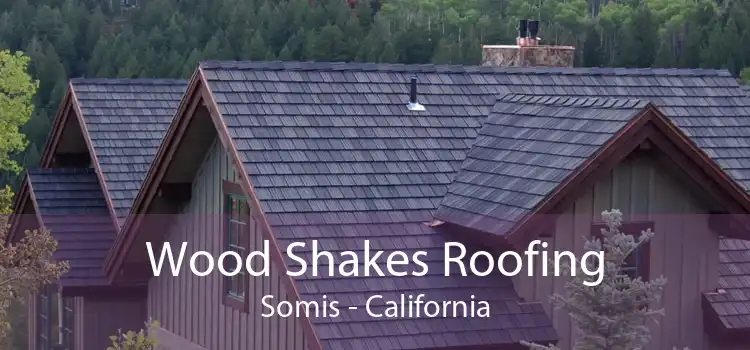 Wood Shakes Roofing Somis - California