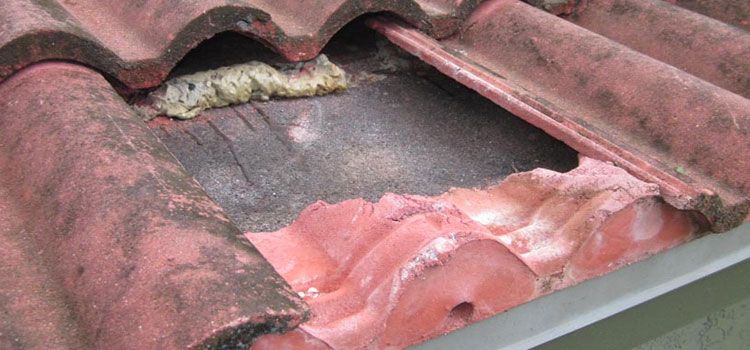 Concrete Ridge Tile Roofing Somis