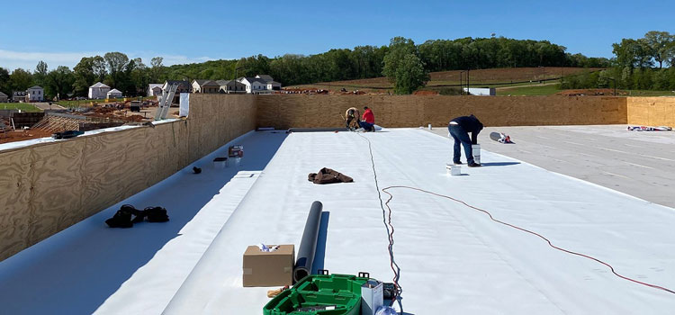 Thermoplastic Polyolefin Roofing Somis